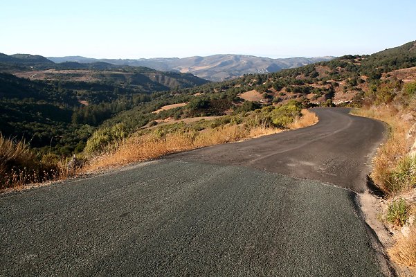 IMG 0155