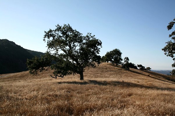 IMG 0167